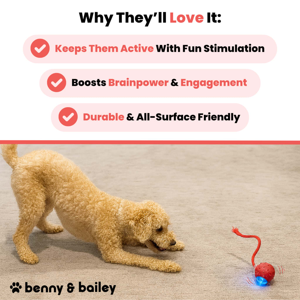 Interactive Stimulation Toy (2-Pack)