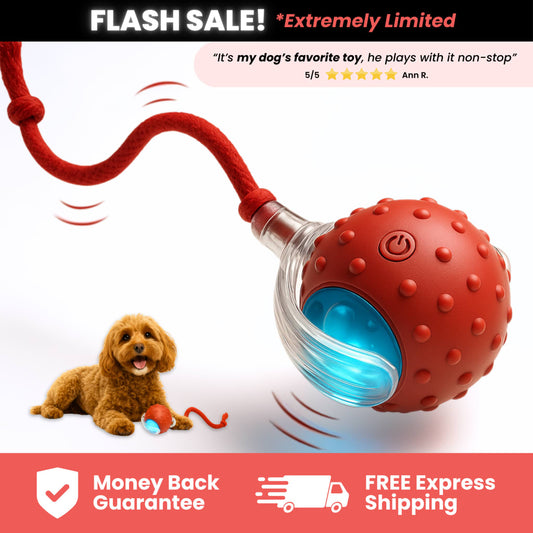 Interactive Stimulation Toy (2-Pack)